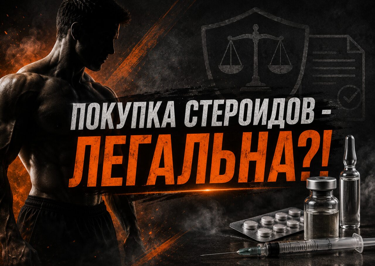 Обложка статьи «Что важно знать до принятия решения о покупке стероидов и анаболиков в РФ»
